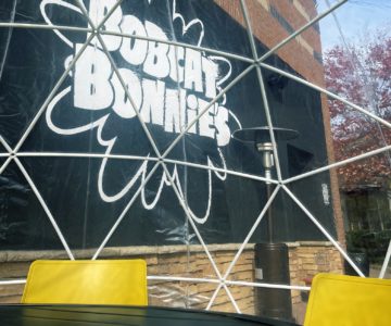 picture of bobcat bonnies logo from the igloo
